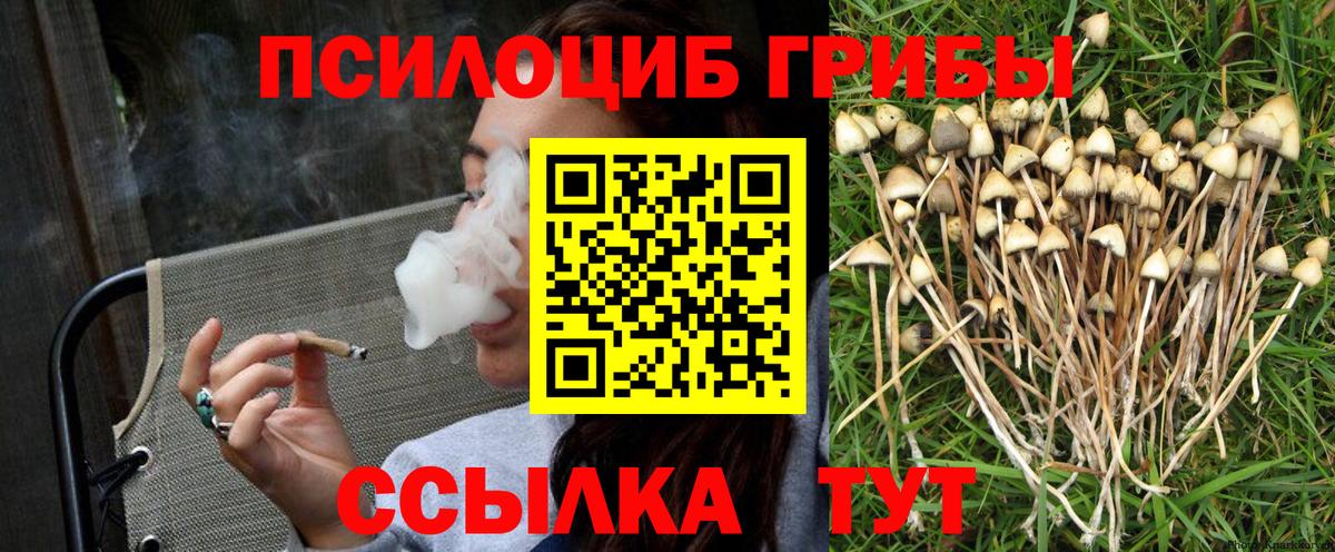 Псилоцибиновые грибы GOLDEN TEACHER  купить закладку  Татарск  Галлюциногенные грибы Psilocybe  Вход с VPN 